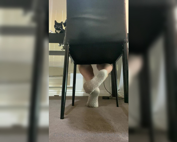 Sweetyfeetys_03 Onlyfans - How long have you been watching me work on my laptop, staring at my feet !