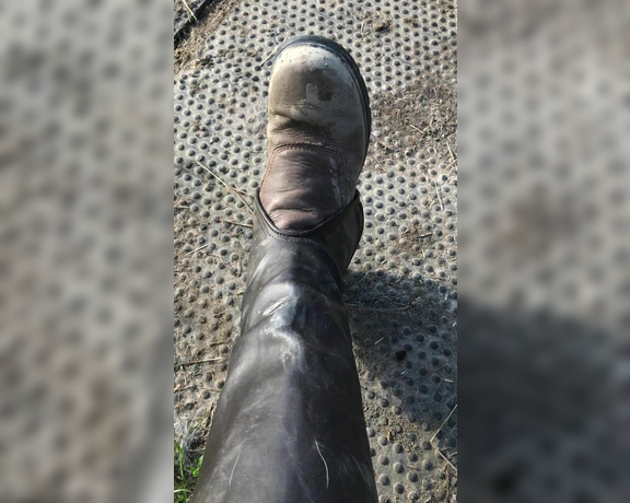 Mistress Athena aka mistressathena OnlyFans - Get down look closely at these dirty mucky riding boots, get ready to clean them pov