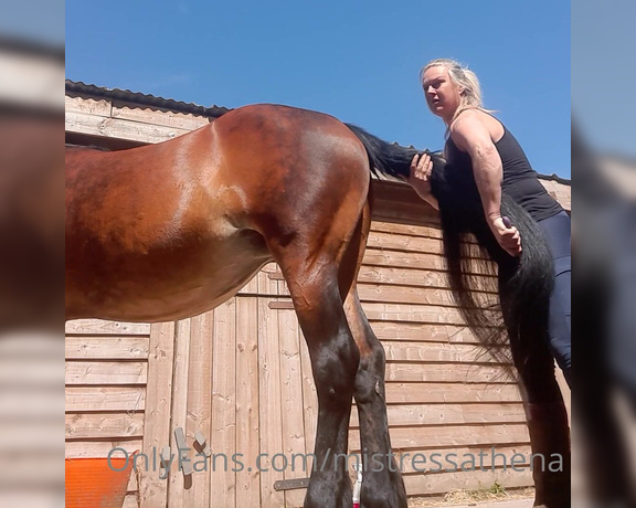 Mistress Athena aka mistressathena OnlyFans - Somebody needed grooming before we went out, tight jodhpurs and boots