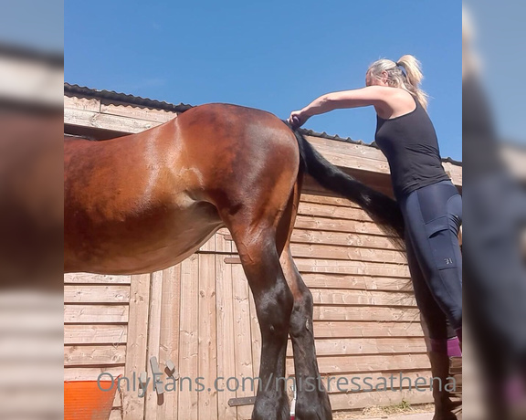 Mistress Athena aka mistressathena OnlyFans - Somebody needed grooming before we went out, tight jodhpurs and boots