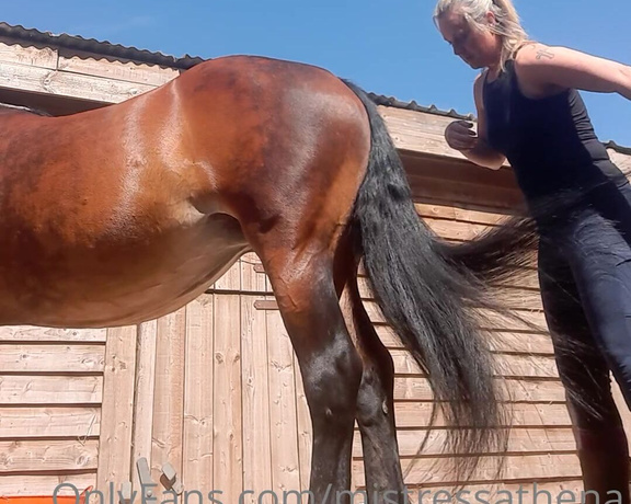 Mistress Athena aka mistressathena OnlyFans - Somebody needed grooming before we went out, tight jodhpurs and boots