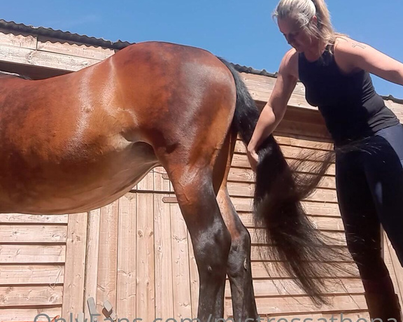 Mistress Athena aka mistressathena OnlyFans - Somebody needed grooming before we went out, tight jodhpurs and boots