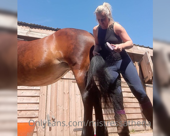 Mistress Athena aka mistressathena OnlyFans - Somebody needed grooming before we went out, tight jodhpurs and boots