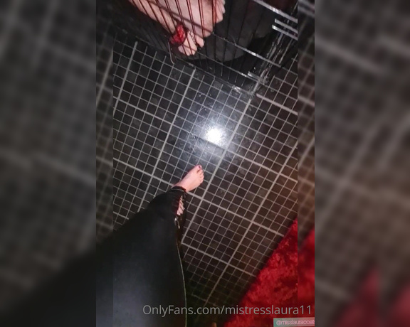 Miss Laura aka mistresslaura11 OnlyFans - Clip  Caged slut desperately addicted to the feet of its owner, ME! Theres nothing this