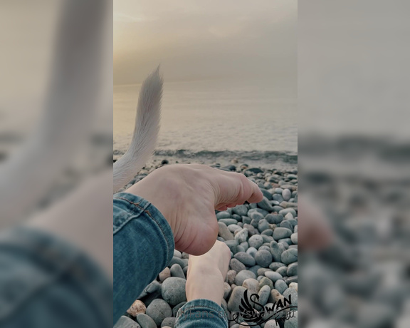 Swan Feet aka swanfee OnlyFans - Beautiful sunset and bare feet close up High arches of your dream