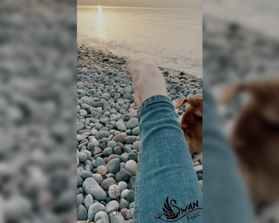 Swan Feet aka swanfee OnlyFans - Beautiful sunset and bare feet close up High arches of your dream