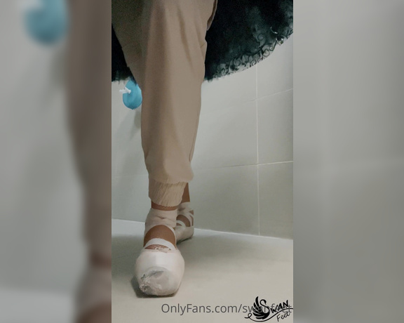 Swan Feet aka swanfee OnlyFans - High arched feet in point shoes and fishnet tights close up view