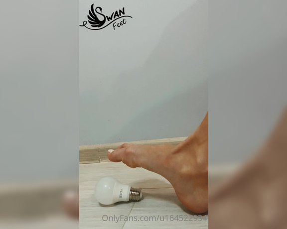 Swan Feet aka swanfee OnlyFans - If youre an arch lover and want to watch close ups of feet grabbing onto a light