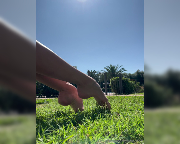 Swan Feet aka swanfee OnlyFans - Close up feet movement on the grass