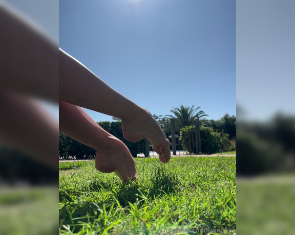 Swan Feet aka swanfee OnlyFans - Close up feet movement on the grass