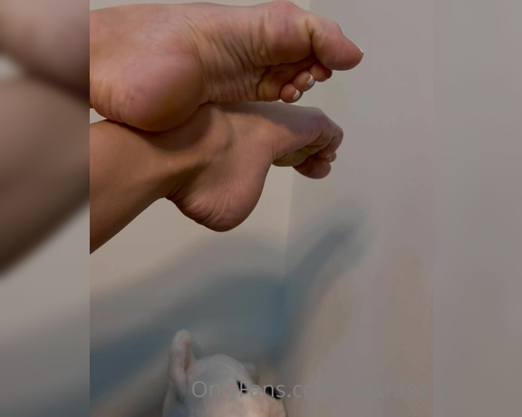 Swan Feet aka swanfee OnlyFans - Magnetic Slow movement of arches close