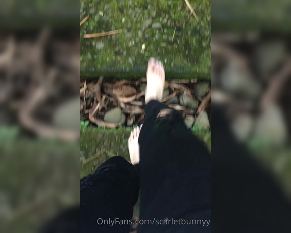 ScarletBunny aka scarletbunnyy OnlyFans Video 2489