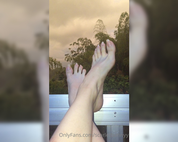 ScarletBunny aka scarletbunnyy OnlyFans - #long toenails #ScarletBunny #OnlyFans #feet #toes