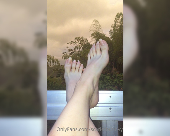 ScarletBunny aka scarletbunnyy OnlyFans - #long toenails #ScarletBunny #OnlyFans #feet #toes