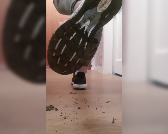 Miss B aka missb52s OnlyFans - 01-14-2020 - Pigs like you, eat the dirt from my trainers of the floor