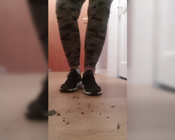 Miss B aka missb52s OnlyFans - 01-14-2020 - Pigs like you, eat the dirt from my trainers of the floor