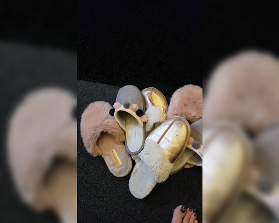 Miss B aka missb52s OnlyFans - 12-27-2019 - Sniff and clean my smelly slippers