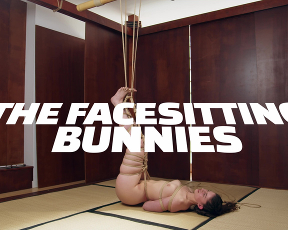 Margout Darko - Margout Darko The Facesitting Bunnies 4K with Shanaxnow and Kinkyropes