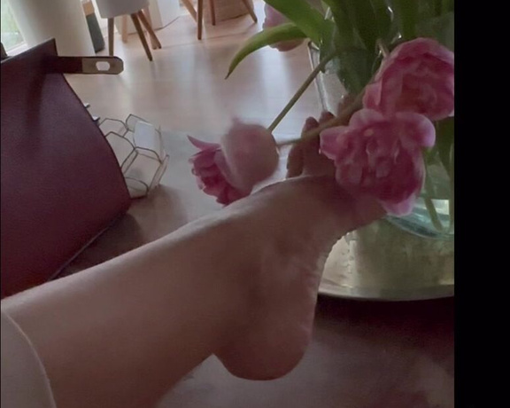 Malivisia aka malivisia OnlyFans - 03-20-2024 - Qual das Flores tu queres