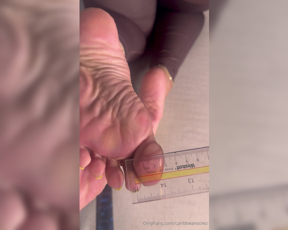 CaribbeanSolez aka caribbeansolez OnlyFans - 05-09-2024 - How do they measure up