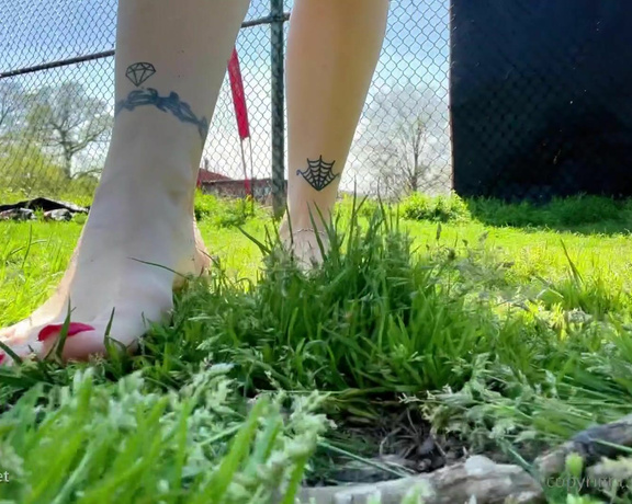 CatPrincess aka catprincessfeet OnlyFans - 05-17-2024 - Walking barefoot in grass, summer dress, flip flops tease, Hungarian size 9 milf feet, shiny red