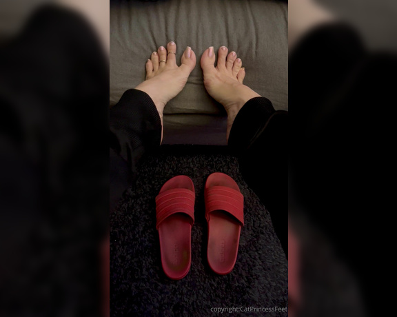 CatPrincess aka catprincessfeet OnlyFans - 03-28-2024 - Morning feet, slides with heavy imprintsand dangerously long big toenails