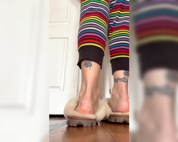 CatPrincess aka catprincessfeet OnlyFans - 12-15-2023 - Taste my mid wrinkles for me, would you