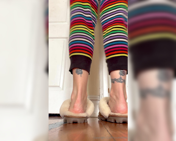 CatPrincess aka catprincessfeet OnlyFans - 12-15-2023 - Taste my mid wrinkles for me, would you