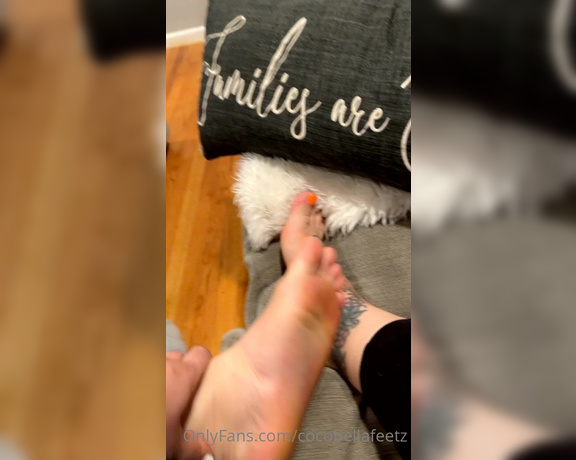 Coco bella aka cocobellafeetz OnlyFans - 10-13-2021 - New pedi!!! And mani!!!! You thoughts on this do you like when they match or not!