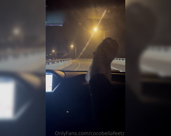 Coco bella aka cocobellafeetz OnlyFans - 03-18-2021 - Late night drive ummm the smell is so good