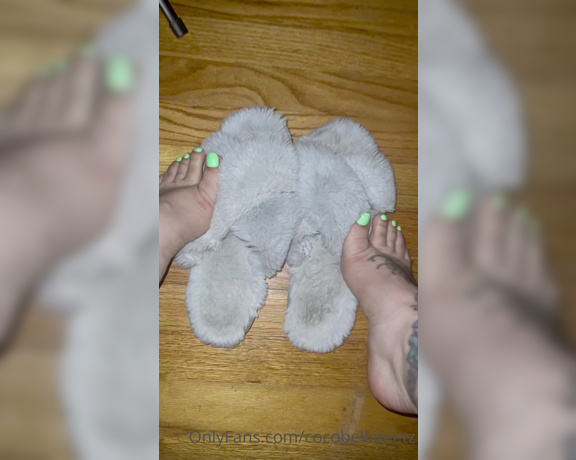 Coco bella aka cocobellafeetz OnlyFans - 08-30-2021 - My favorite slippers