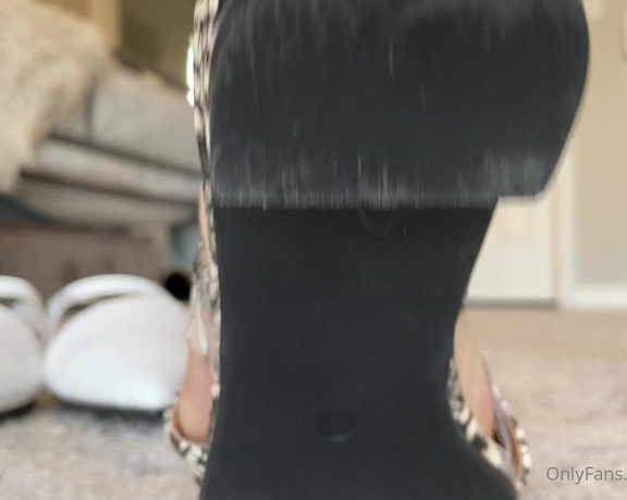 Ivory Soles aka ivorysoles OnlyFans - 12-02-2021 - SEXY FLATS got them in 2 colors Which is your favorite pair