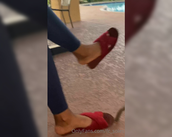 FirstClassSoles aka fc_soles OnlyFans - 08-10-2022 - Mocca  Dangling Ignore @fineasssoles