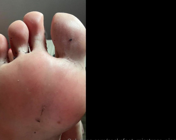 SocksFeet_Misstress_Nina aka socksfeet_misstress_nina OnlyFans - 03-30-2024 - Enjoy my black sweaty and smelly socks fresh out of my shoes after several days! If