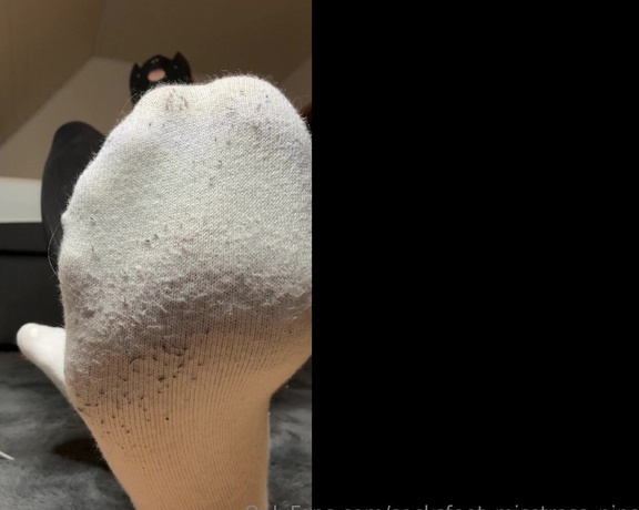 SocksFeet_Misstress_Nina aka socksfeet_misstress_nina OnlyFans - 12-17-2023 - I need more of these shoes Your mistresss feet are so comfortable here! You would love