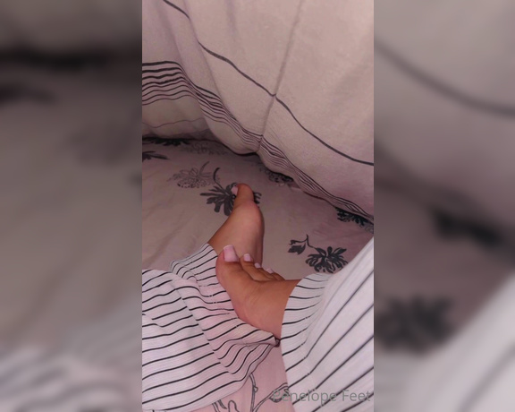 Goddess Penelope aka penelopefeet_ OnlyFans - 06-17-2023 - I want a footjob