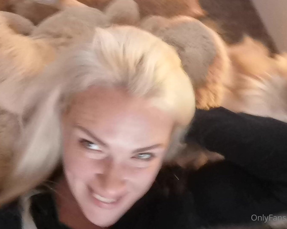 MrsPump aka mrspump Femdom - 10-24-2021 OnlyFans Video - Our house just got crazier  introducing thee most confident puppy in the world