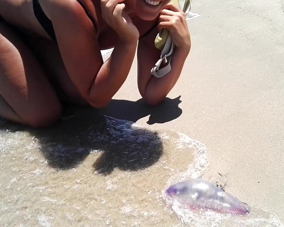 Kathia Nobili aka kathianobilixx Findom - 06-11-2018 OnlyFans Video - Dangerous beach   man o war jellyfish