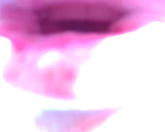 Kathia Nobili aka kathianobilixx Findom - 06-12-2017 OnlyFans Video - Super sexy UNDERWATER stripping amp teasing