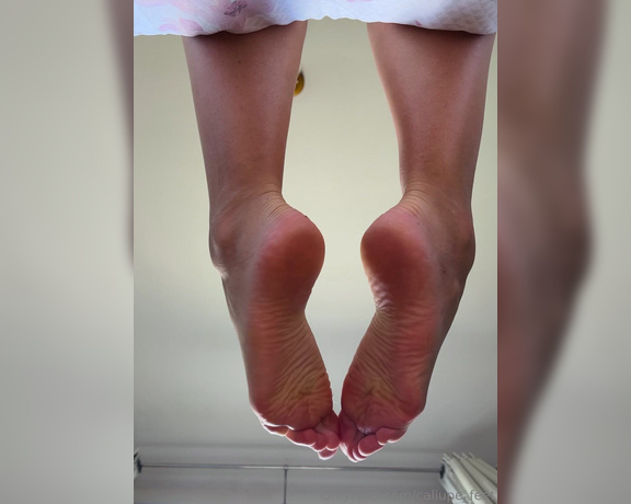 Caliupe Feet aka caliupe_feet Foot Fetish - 03-23-2024 OnlyFans Video - Um pezão na sua cara  A big foot in your face