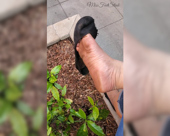 Tori Valentine aka missfeetstinkvip Foot Fetish - 07-02-2023 OnlyFans Video - Wanna see some shoe play in public How about my flats dangling off of my toes