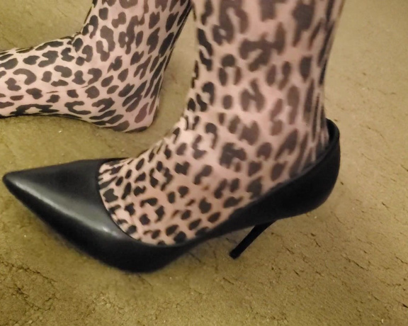 Tori Valentine aka missfeetstinkvip Foot Fetish - 05-05-2023 OnlyFans Video - You get a REALLY good look at my leopard print nylons in this video From top