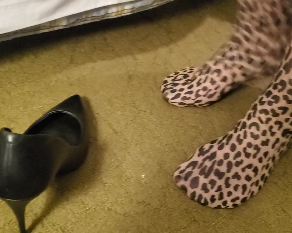 Tori Valentine aka missfeetstinkvip Foot Fetish - 05-05-2023 OnlyFans Video - You get a REALLY good look at my leopard print nylons in this video From top