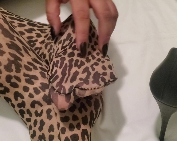 Tori Valentine aka missfeetstinkvip Foot Fetish - 05-16-2023 OnlyFans Video - Hear me roar in this clip Actually, hear and watch me play with my leopard print