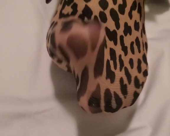 Tori Valentine aka missfeetstinkvip Foot Fetish - 05-16-2023 OnlyFans Video - Hear me roar in this clip Actually, hear and watch me play with my leopard print