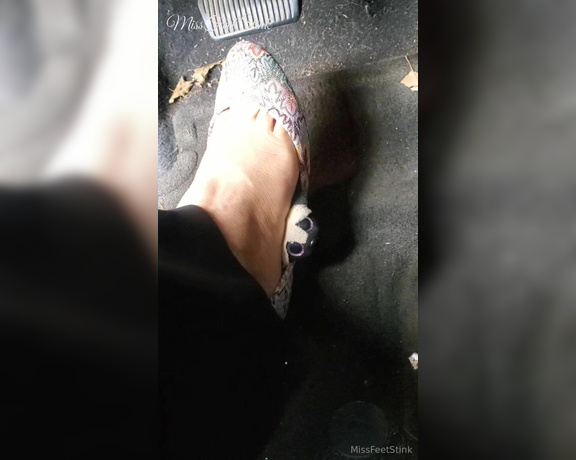 Tori Valentine aka missfeetstinkvip Foot Fetish - 11-14-2023 OnlyFans Video - A breakfast run, with a tag along Pug wanted to come with me