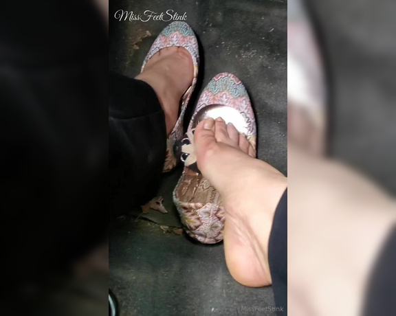 Tori Valentine aka missfeetstinkvip Foot Fetish - 11-14-2023 OnlyFans Video - A breakfast run, with a tag along Pug wanted to come with me