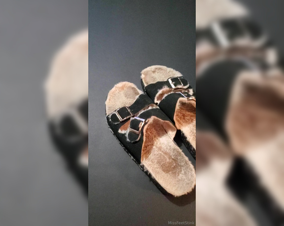 Tori Valentine aka missfeetstinkvip Foot Fetish - 12-29-2023 OnlyFans Video - Just wanted to remind you all that these nasty, stinkin sandals are still available