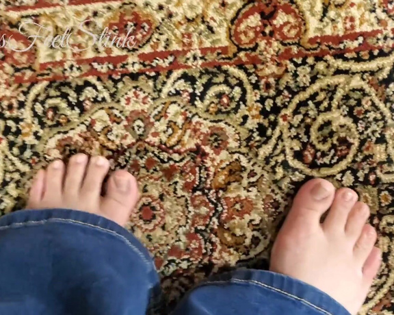 Tori Valentine aka missfeetstinkvip Foot Fetish - 12-21-2023 OnlyFans Video - So, Im thinking about putting down some new carpet in my house