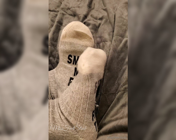 Tori Valentine aka missfeetstinkvip Foot Fetish - 01-10-2024 OnlyFans Video - I know you all can read